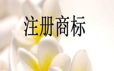 商标权人可以随意使用注册商标吗
