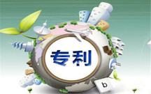 专利无效宣告请求审查程序原则