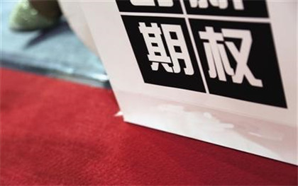 期权交易的主要特点
