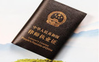 受过刑还可以申请离婚律师执业吗
