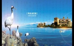 广告公司合同书怎么写