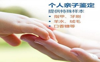 鉴定程序