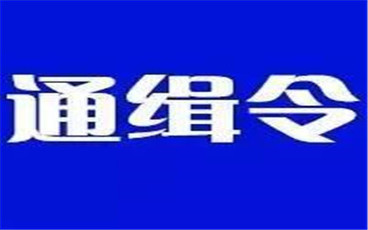通缉令的最低发布权限是怎么规定的