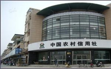 农村信用社贷款担保人的责任与注意事项