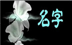公司起名规则与经营范围