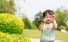 社会抚养费的交纳时间是多久
