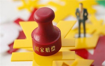 国家赔偿法中追究责任的方式有哪些