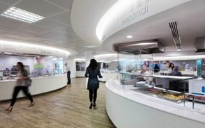 公司的财务报表如何进行审计