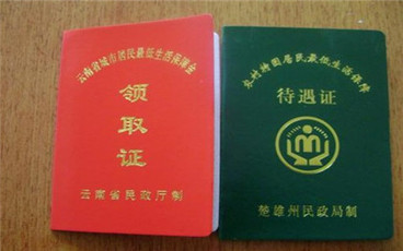农村贫困家庭低保申请书格式范文