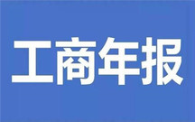 企业年度报告的内容包括哪些
