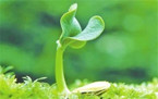 小微企业申请条件和流程2022