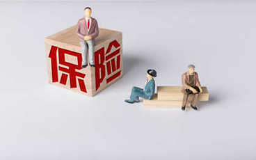 社会保险申报的流程怎么走