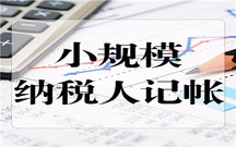 小规模纳税人与一般纳税人的不同