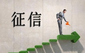 征信报告那么长,哪些才是贷款的重点审核内容?