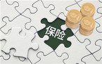 保险公司贷款是怎样的,保险公司贷款有什么特点
