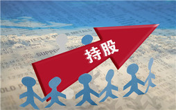 专业机构比个人参与股权投资有哪些优势?