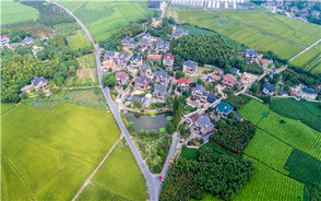 土地流转主要程序是什么
