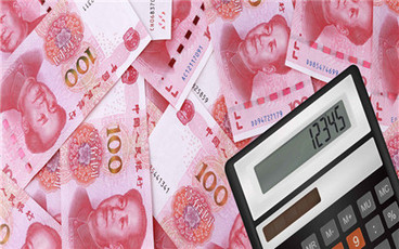 社会抚养费是什么意思