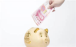 辞职报告涉及赔偿怎么写