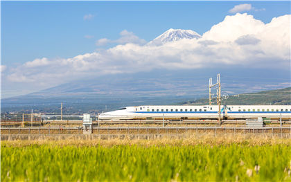 农村违建房一定要拆吗
