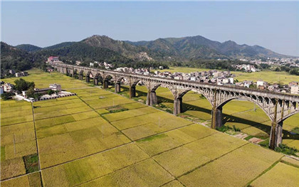 违建拆除补偿多少