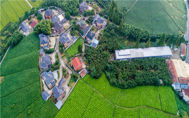 农村宅基地确权登记什么时候结束
