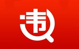 违章查询