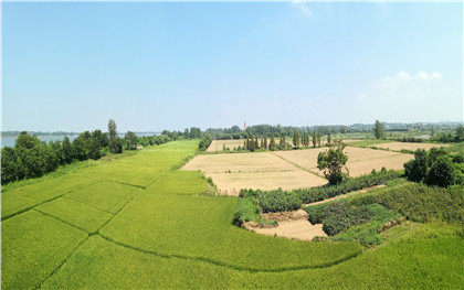 征地补偿程序 征地补偿程序