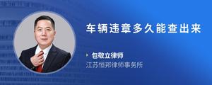 车辆违章多久能查出来