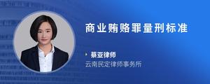 商业贿赂罪量刑标准