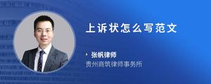 上诉状怎么写范文