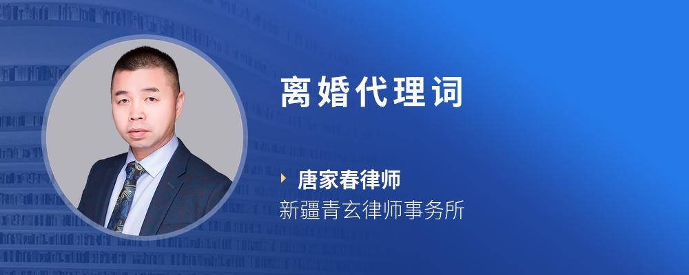 离婚代理词