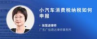 小汽车消费税纳税如何申报