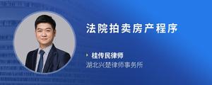 法院拍卖房产程序