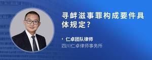 寻衅滋事罪构成要件具体规定?