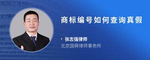 商标编号如何查询真假