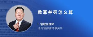 数罪并罚怎么算