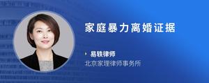 家庭暴力离婚证据