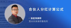 合伙人分红计算公式