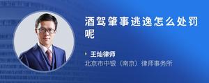 酒驾肇事逃逸怎么处罚呢