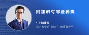 附加刑有哪些种类