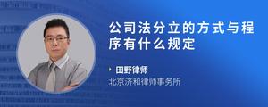 公司法分立的方式与程序有什么规定