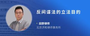 反间谍法的立法目的