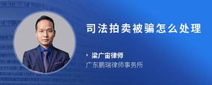 司法拍卖被骗怎么处理