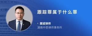 跟踪罪属于什么罪