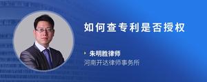 如何查专利是否授权