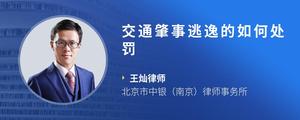 交通肇事逃逸的如何处罚