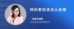 特别累犯该怎么处理