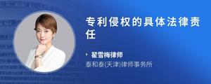 专利侵权的具体法律责任
