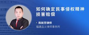 如何确定民事侵权精神损害赔偿